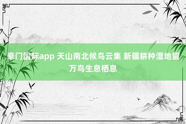 豪门国际app 天山南北候鸟云集 新疆耕种湿地留万鸟生息栖息