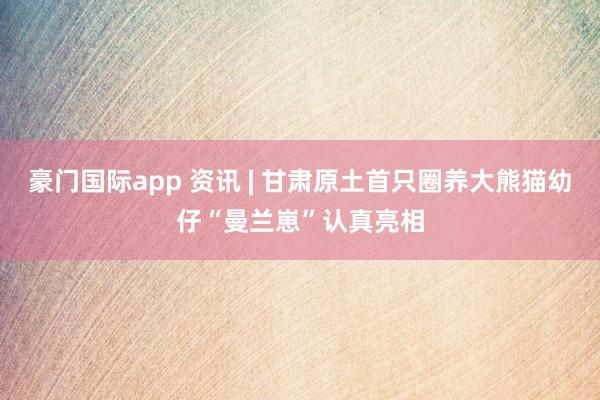豪门国际app 资讯 | 甘肃原土首只圈养大熊猫幼仔“曼兰崽”认真亮相