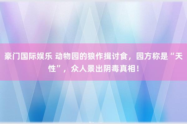 豪门国际娱乐 动物园的狼作揖讨食，园方称是“天性”，众人景出阴毒真相！