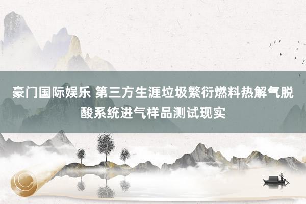 豪门国际娱乐 第三方生涯垃圾繁衍燃料热解气脱酸系统进气样品测试现实