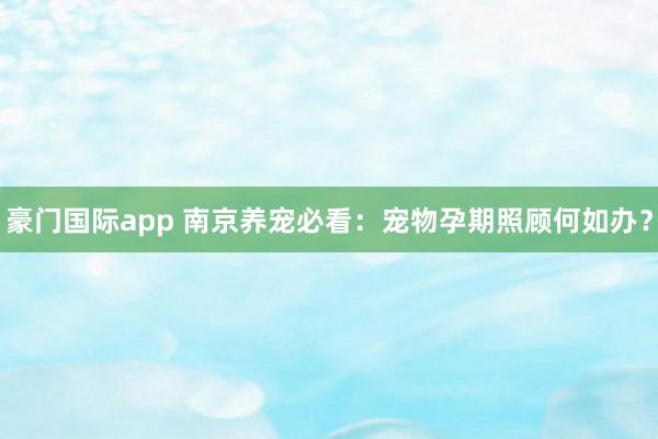豪门国际app 南京养宠必看：宠物孕期照顾何如办？