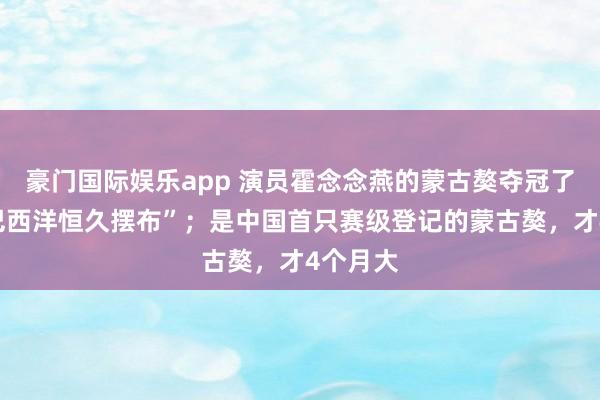 豪门国际娱乐app 演员霍念念燕的蒙古獒夺冠了，“结巴西洋恒久摆布”；是中国首只赛级登记的蒙古獒，才4个月大