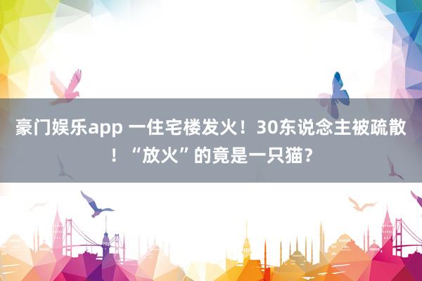 豪门娱乐app 一住宅楼发火！30东说念主被疏散！“放火”的竟是一只猫？