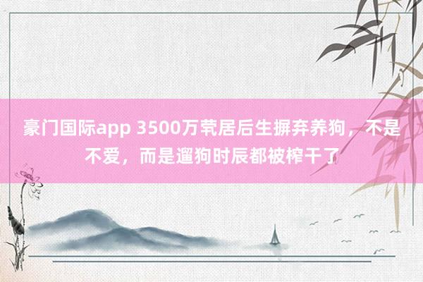 豪门国际app 3500万茕居后生摒弃养狗，不是不爱，而是遛狗时辰都被榨干了
