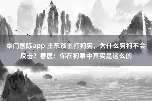 豪门国际app 主东谈主打狗狗，为什么狗狗不会反击？兽医：你在狗眼中其实是这么的