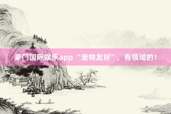 豪门国际娱乐app “宠物友好”，有领域的！