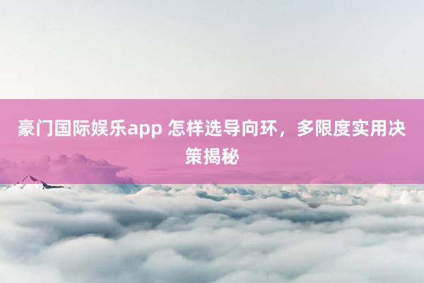 豪门国际娱乐app 怎样选导向环，多限度实用决策揭秘