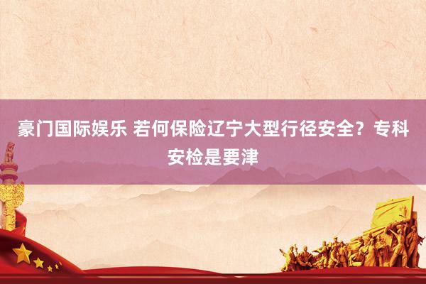 豪门国际娱乐 若何保险辽宁大型行径安全？专科安检是要津