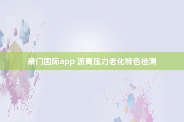 豪门国际app 沥青压力老化特色检测