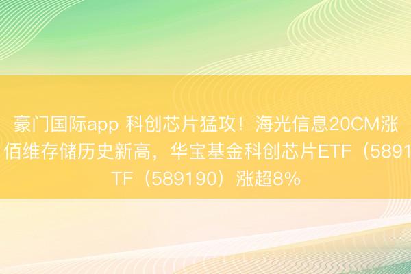 豪门国际app 科创芯片猛攻！海光信息20CM涨停，寒武纪、佰维存储历史新高，华宝基金科创芯片ETF（589190）涨超8%